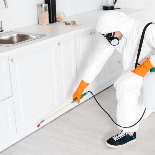 exterminator-holding-toxic-equipment-near-kitchen-cabinet.jpg